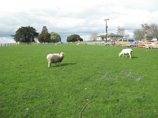 15725237_1881097928779487_1401302986_o.jpg 15725237_1881097928779487_1401302986_o.jpg