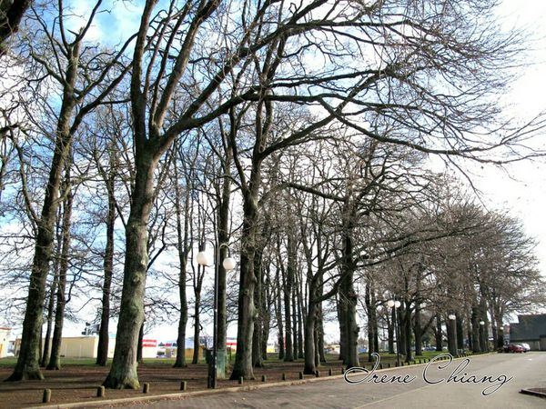 15681906_1881110898778190_547918482_o.jpg 15681906_1881110898778190_547918482_o.jpg