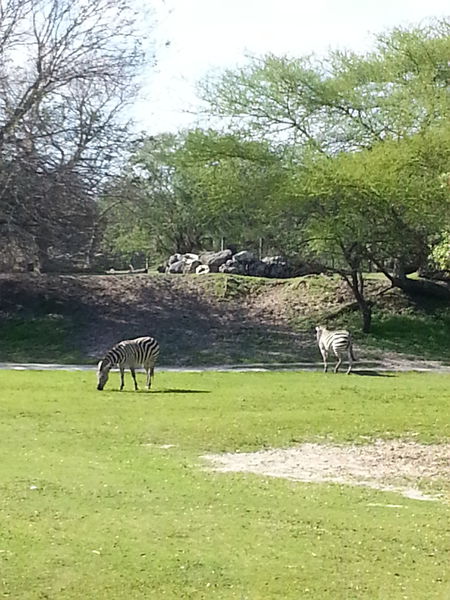 20150314_162517.jpg 20150314_162517.jpg