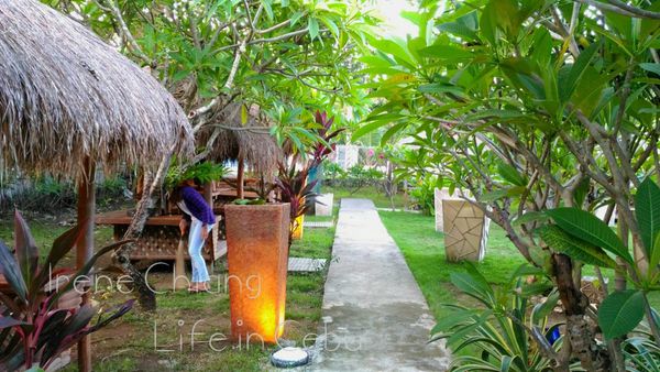 332986.jpg 332986.jpg