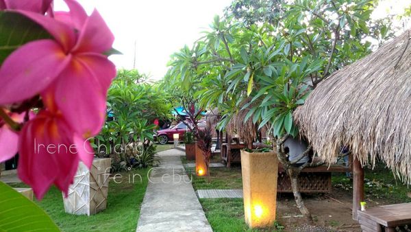 332983.jpg 332983.jpg